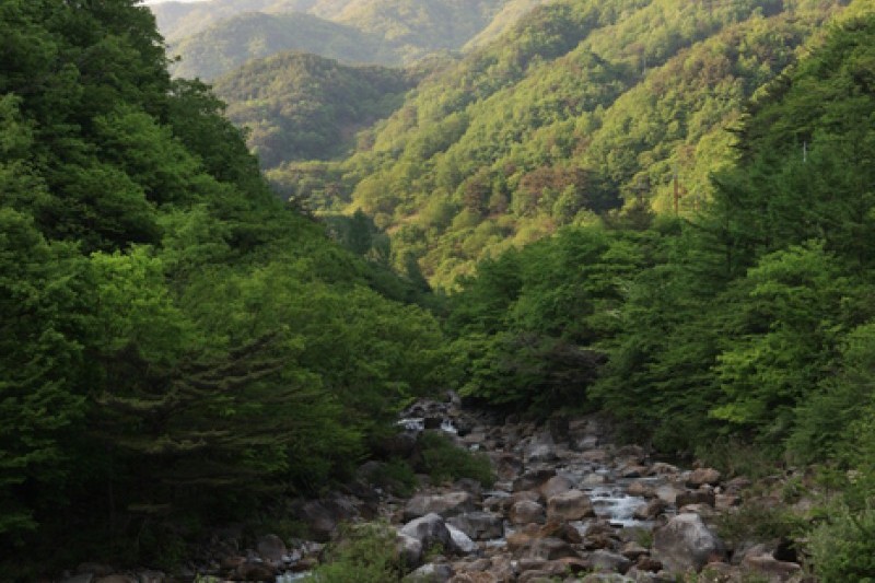 Jirisan National Park  (9/11)