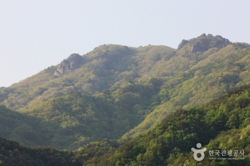 Jirisan National Park  (10/11)