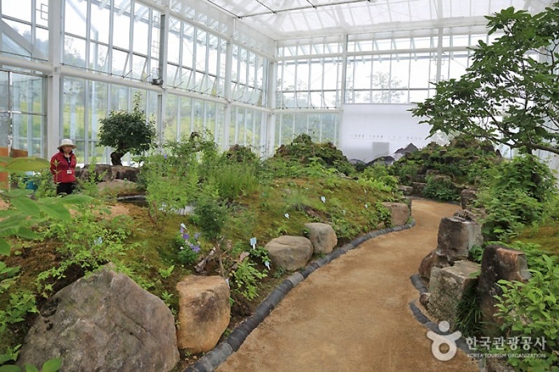 Sancheong Oriental Medicine Theme Park  (7/13)