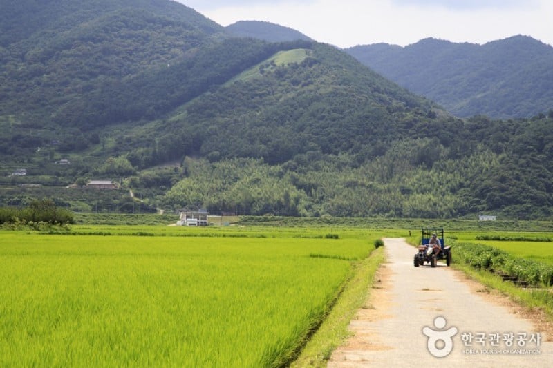 Hadong Agyang-myeon [Slow City]  (23/23)
