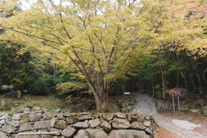 Eoreumgol Valley  (1/8)