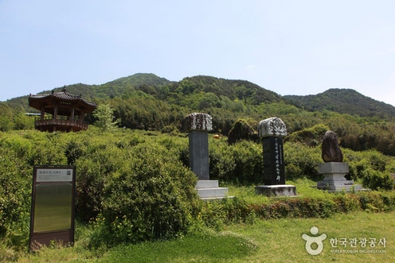 Hadong Wild Tea Cultural Festival  (10/21)