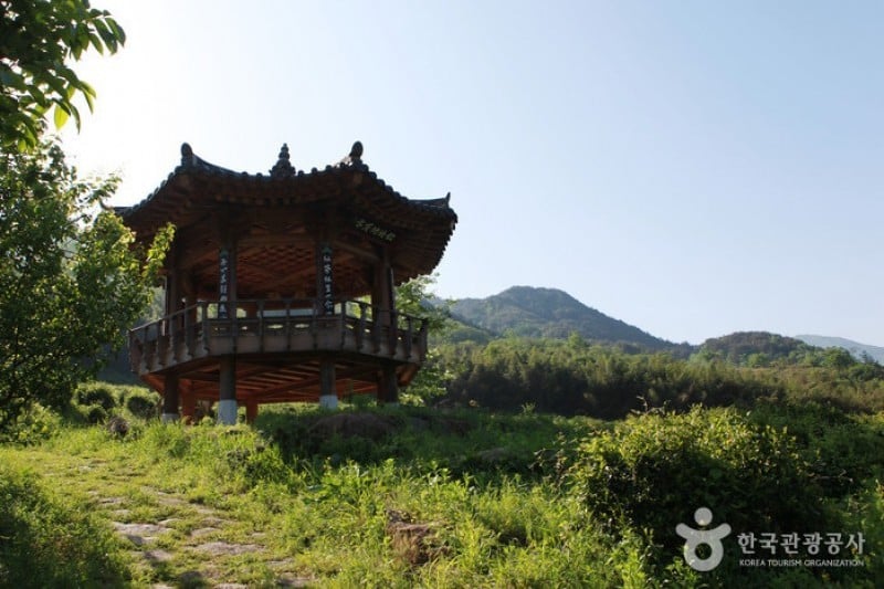 Hadong Wild Tea Cultural Festival  (16/21)