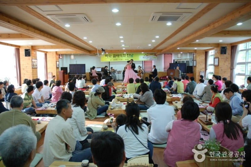 Hadong Wild Tea Cultural Festival  (19/21)