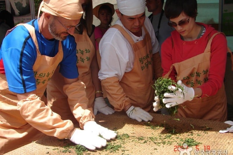 Hadong Wild Tea Cultural Festival  (20/21)