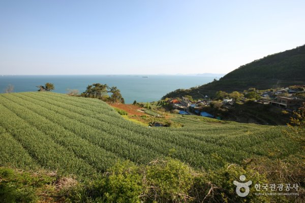 Daraengi Village