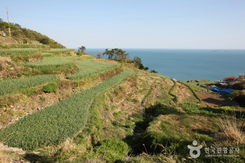 Daraengi Village  (11/22)