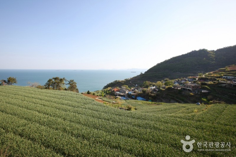 Daraengi Village  (12/22)