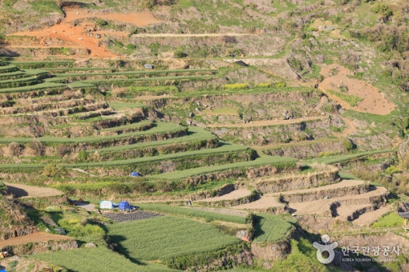 Daraengi Village  (14/22)