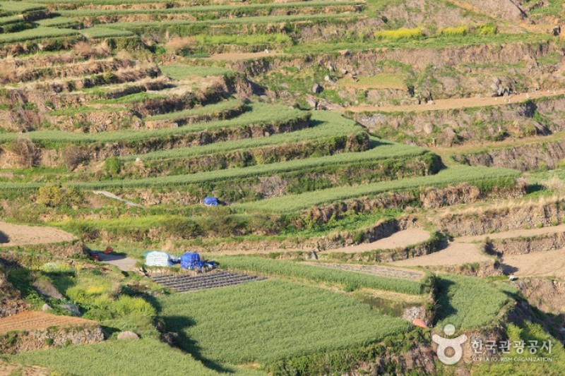 Daraengi Village  (15/22)