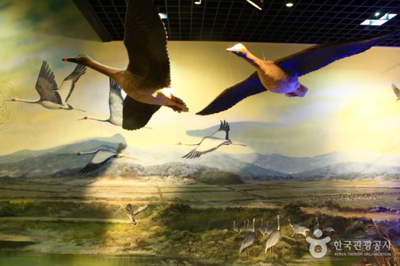 Junam Ecological Center  (1/5)