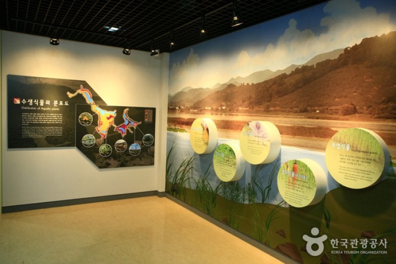 Junam Ecological Center  (5/5)