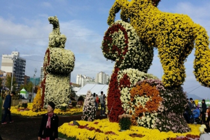 Masan Gagopa Chrysanthemum Festival  (2/4)
