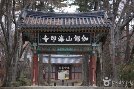 Haeinsa Temple Stay 