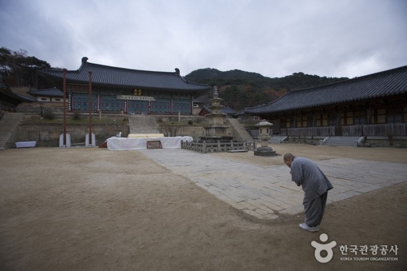 Haeinsa Temple Stay  (2/4)
