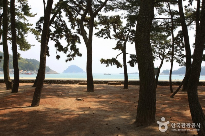 Sangju Silver Sand Beach  (5/33)