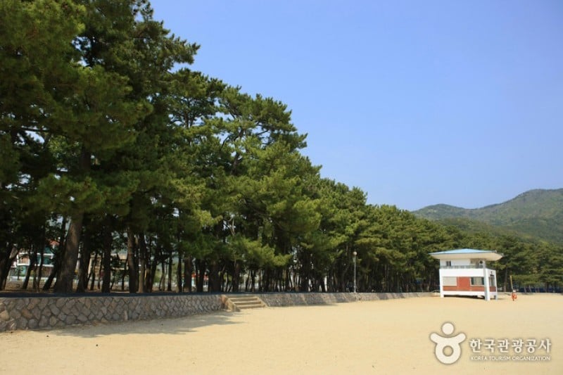Sangju Silver Sand Beach  (28/33)