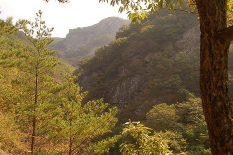 Gajisan Provincial Park  (3/11)