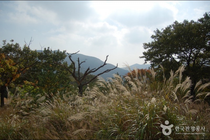 Gajisan Provincial Park  (5/11)