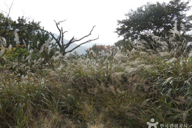 Gajisan Provincial Park  (8/11)