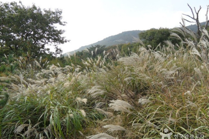 Gajisan Provincial Park  (9/11)