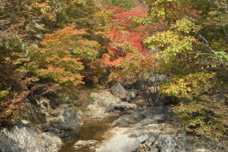 Gajisan Provincial Park  (10/11)