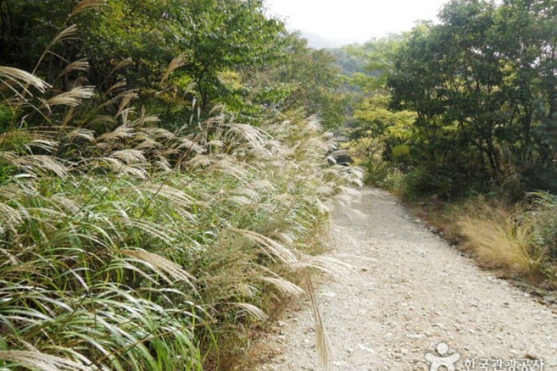 Gajisan Provincial Park  (11/11)