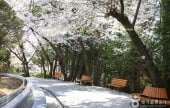 Jehwangsan Park 