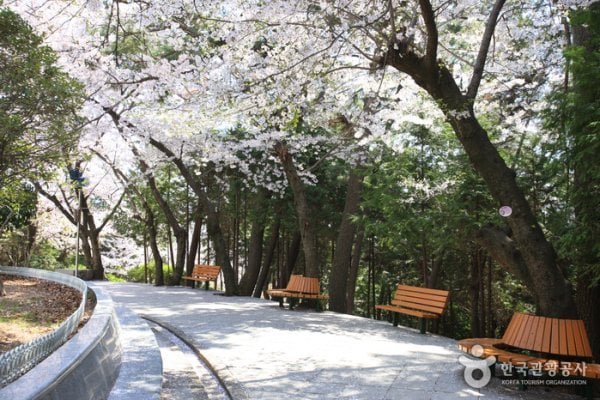 Jehwangsan Park