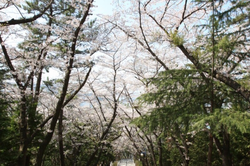 Jehwangsan Park  (9/9)