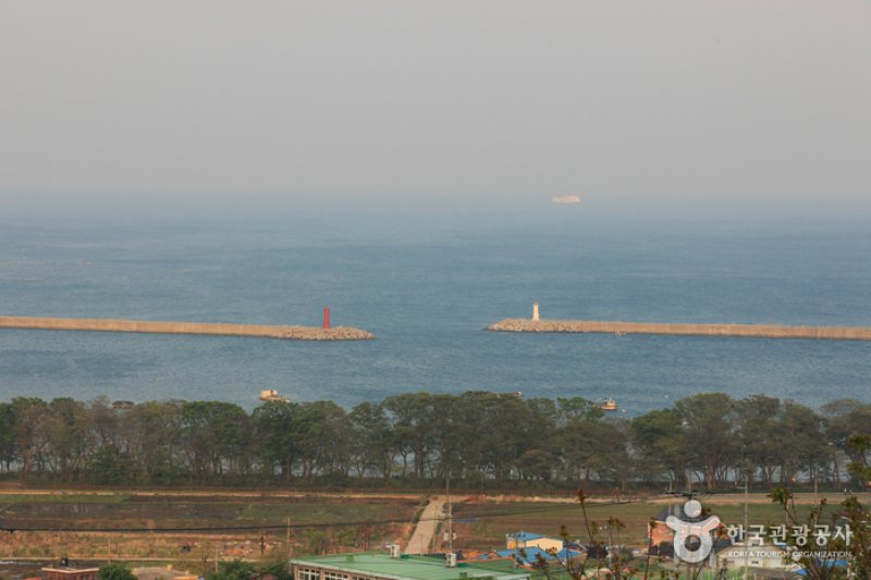 Mulgeon Windbreak Forest  (1/25)