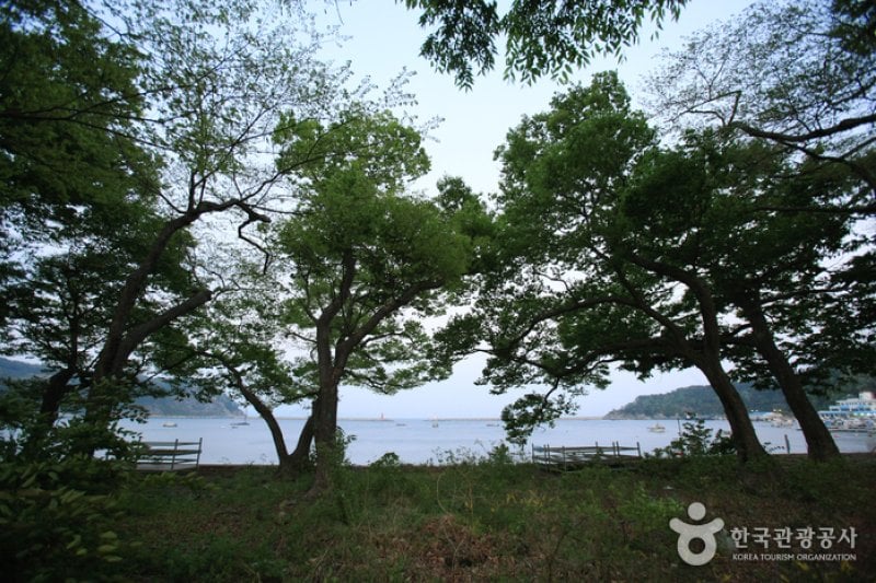 Mulgeon Windbreak Forest  (12/25)