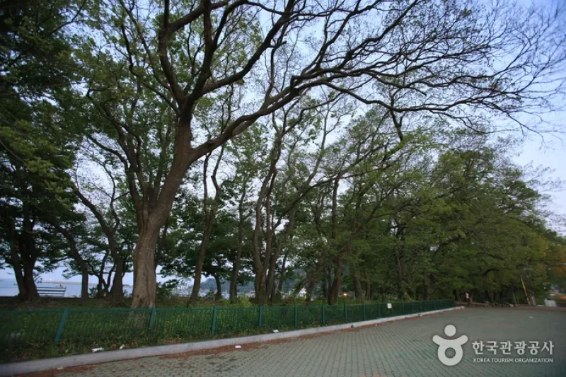 Mulgeon Windbreak Forest  (15/25)