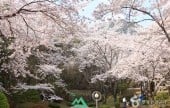 Jangboksan Sculpture Park 