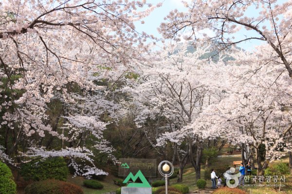 Jangboksan Sculpture Park