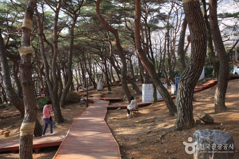 Jangboksan Sculpture Park  (2/10)