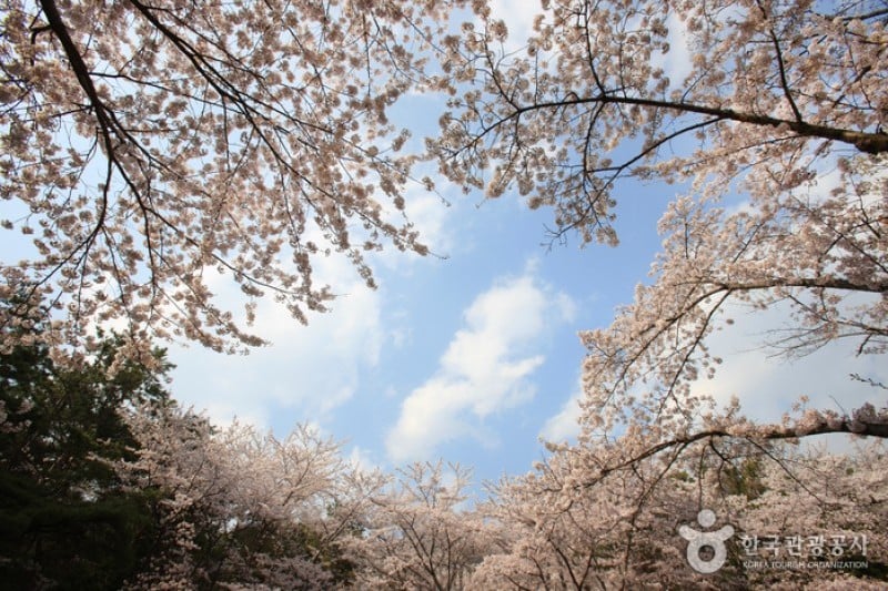 Jangboksan Sculpture Park  (3/10)