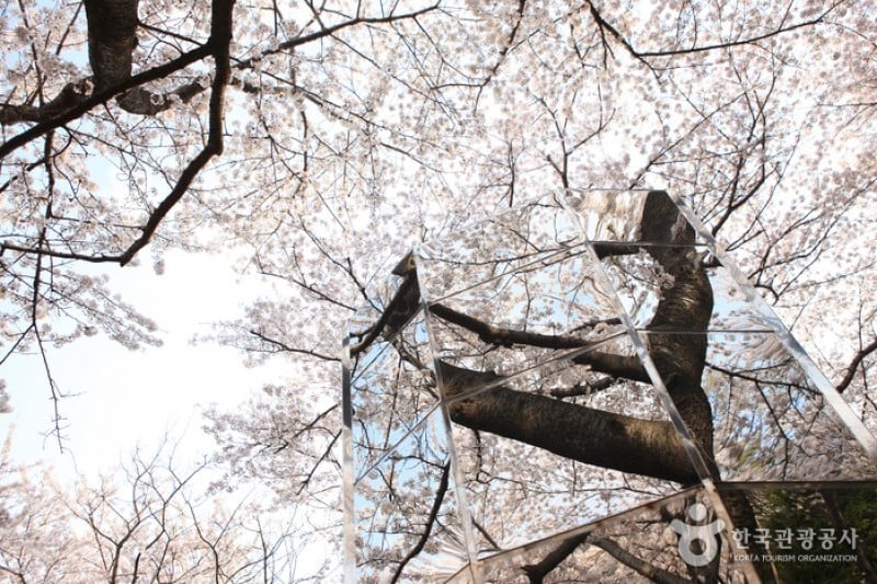 Jangboksan Sculpture Park  (5/10)