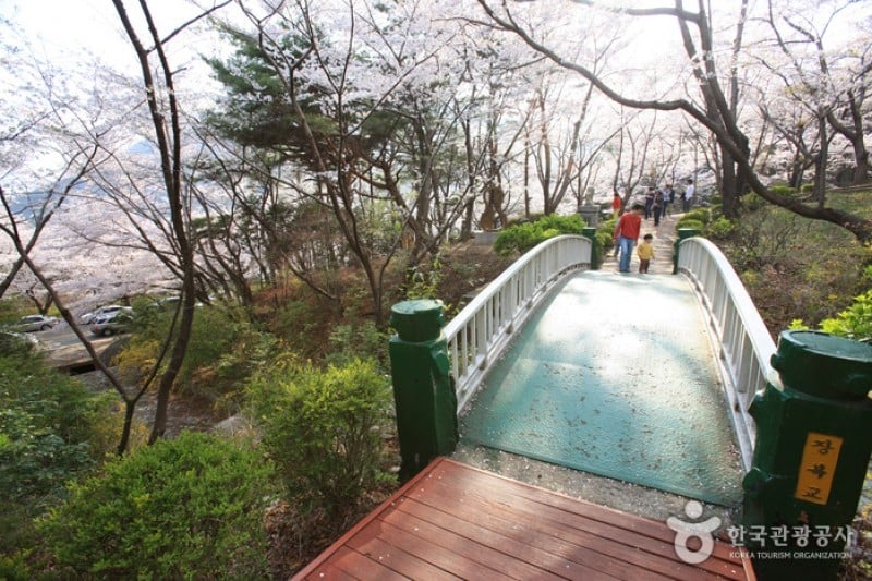 Jangboksan Sculpture Park  (8/10)