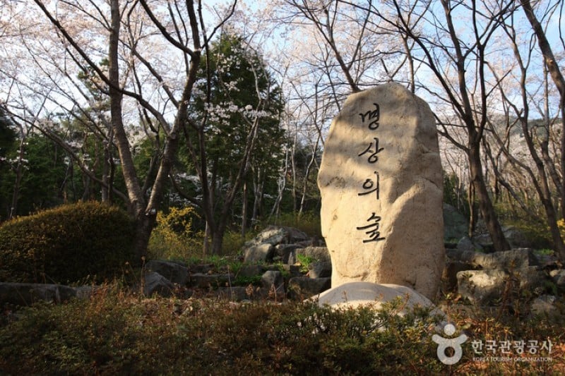 Jangboksan Sculpture Park  (9/10)
