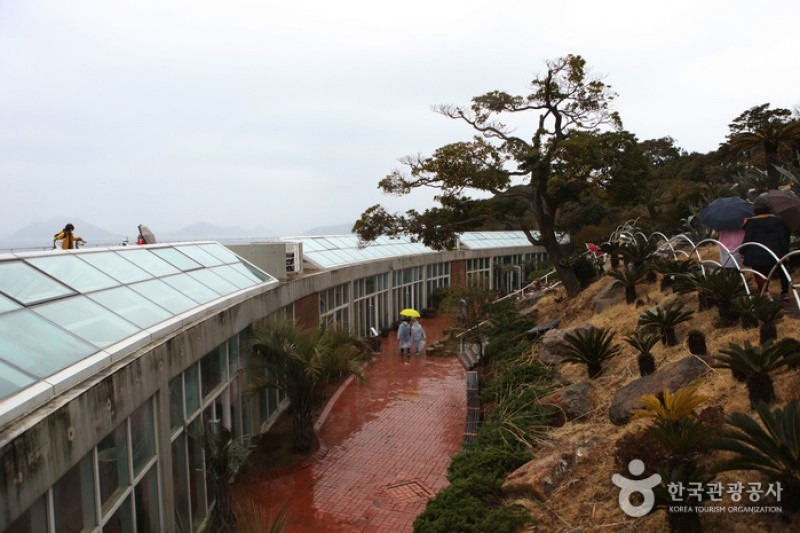 Jangsado Sea Park  (6/27)