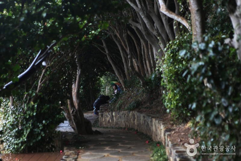 Jangsado Sea Park  (7/27)