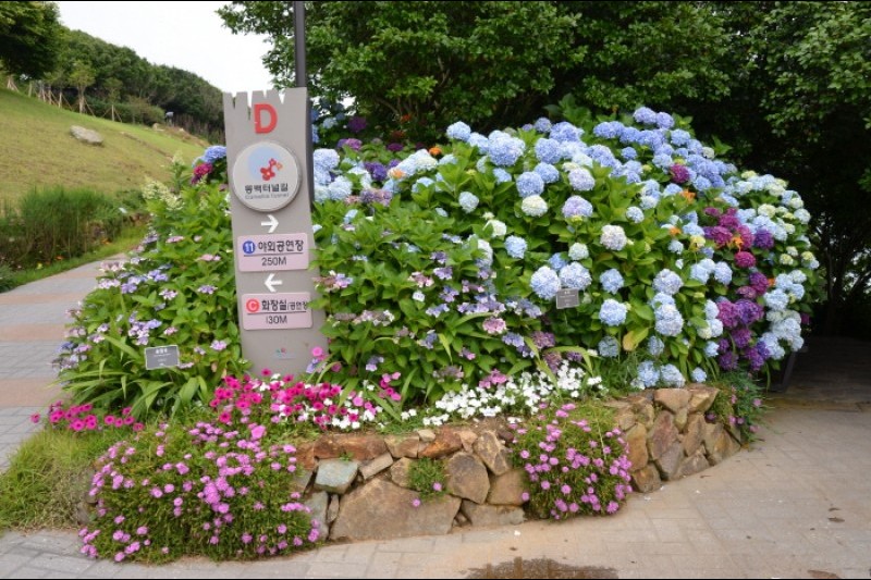 Jangsado Sea Park  (15/27)