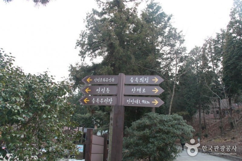 Namhae Pyeonbaek Recreational Forest  (2/17)