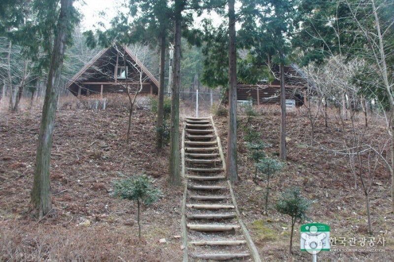 Namhae Pyeonbaek Recreational Forest  (3/17)