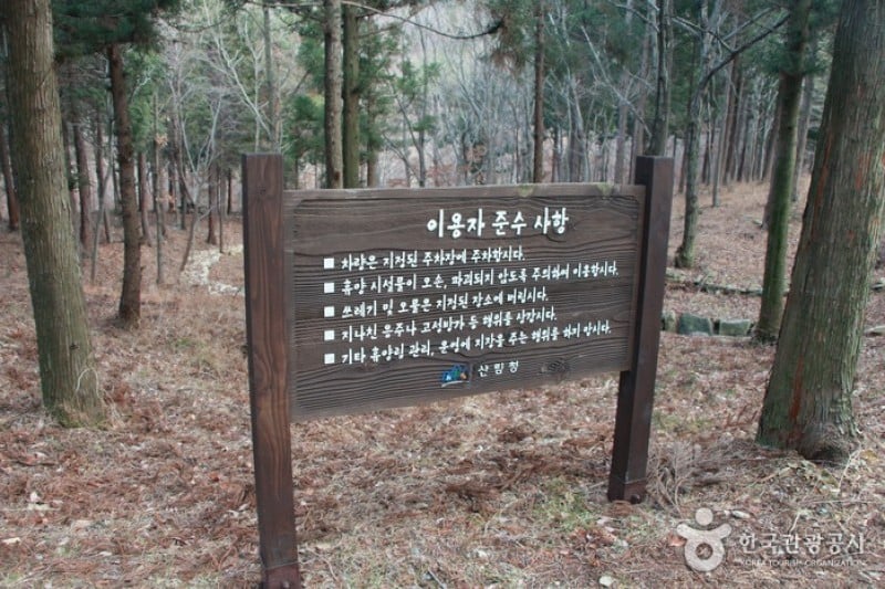 Namhae Pyeonbaek Recreational Forest  (4/17)