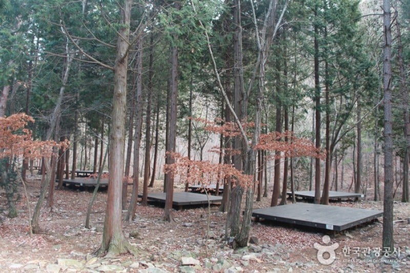 Namhae Pyeonbaek Recreational Forest  (5/17)