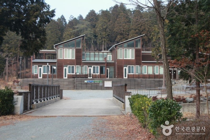 Namhae Pyeonbaek Recreational Forest  (6/17)