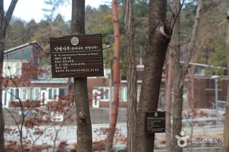 Namhae Pyeonbaek Recreational Forest  (7/17)