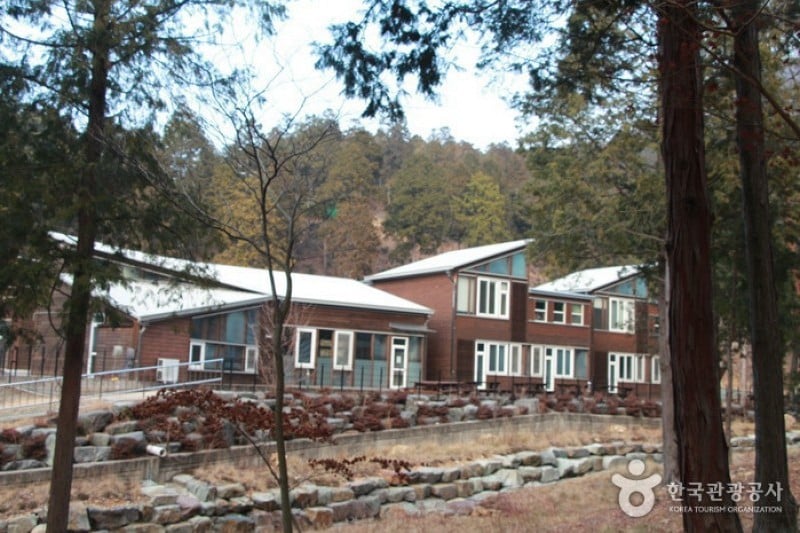 Namhae Pyeonbaek Recreational Forest  (8/17)